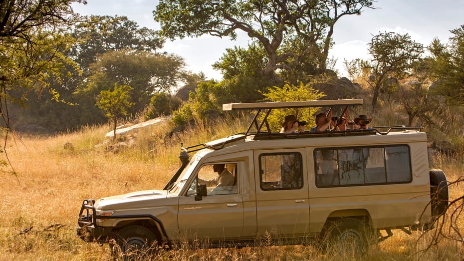Professional safari guiding and logistics during a comprehensive Africa travel experience.
