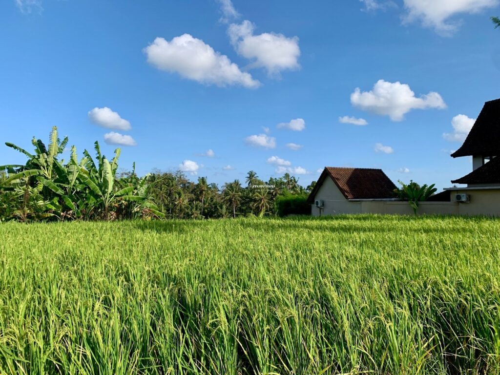 Private transfer with Bali airport taxi 2026 toward major zones