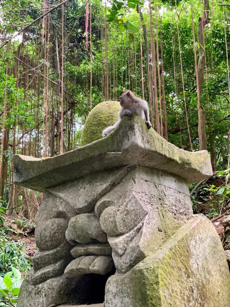 Ubud Monkey Forest: Is It Worth Visiting in 2026? Monkey behavior and safety rules in Sacred Monkey Forest Ubud