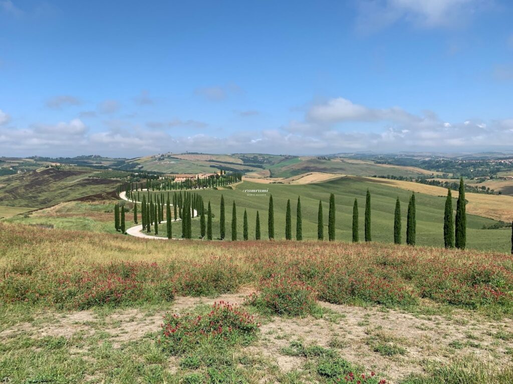 Cypress road in Val d'Orcia near Pienza
